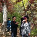 임천중학교 이미지