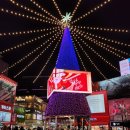 중앙로535번길 외국인 관광특구 차 없는 거리_2 | 부산 남포동 빛축제 2025 광복로 겨울빛 트리축제 점등시간 위치 주차