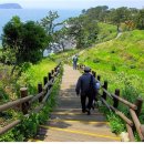 대전으로 가는 여행 이미지