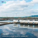 쉼터김밥 이미지