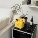 그란데로자 이미지