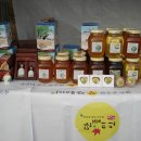 구절초가는길 이미지