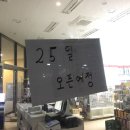 모닝글로리세종
