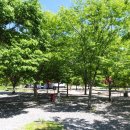 메타파크 이미지