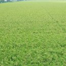 영등동-38 이미지