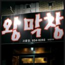 대구불노리왕막창 - 동해시 발한로 217 | 대구불노리왕막창