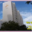 하단동1176 이미지