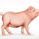 맛있는돼지랑 이미지