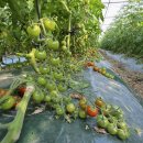 이정순농장 이미지