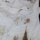 매직세탁 이미지