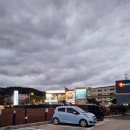 롯데시티호텔 제주 | 롯데시티호텔 제주 근처 맛집 연북로해물탕 본점 리얼후기