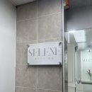 [드레스투어] 셀레네 웨딩 데스크 후기