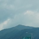 상나전 이미지