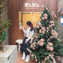 사림민원센터 | 창원 가로수길 카페 추천 일본감성 고양이카페 호노보노