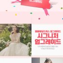 행복한웨딩퍼플스튜디오
