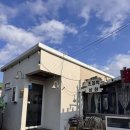 해물상회 | 협재해물라면 쪼꼴락상회 애견동반후기, 라면 맛집에서는 라면을 먹어야 했다.