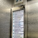 미니스피어싱 네이버블로그