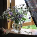 나만의 일러스트 이미지