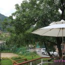 호두나무 펜션 이미지