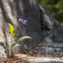 수리봉마을 이미지