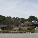 경포로 Daum카페