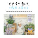인천 연수구 어릴적 스튜디오 인천돌사진 아기컨셉사진 인천만삭사진