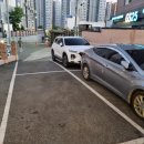 현대식육센타 이미지