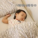 피토하우스 이미지