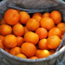 주화농장 이미지