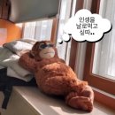 씨유대전오정베스트점 | 내 미래에 전해줘 온 세상과 저 광야 위로 후회 없이 사랑했다고 말하게 (겨울방학 3주차 / 2024년 첫...