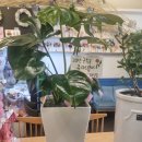 유랜드약국 이미지