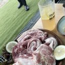 제주돈돗 이미지