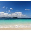 제주도푸른밤