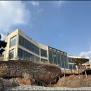 5664 | 포항 대형 베이커리 카페'오딘' 여심저격하는 과일 크로와상과 오딘크림라떼 후기