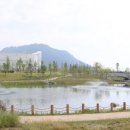 수목원 파이낸셜뉴스
