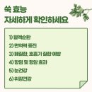 백령도쑥하수오 영농조합법인 | 혈액순환 개선 쑥효능, 발끝이 따뜻해지는 이유