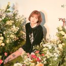 비밀정원 이미지