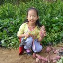 나현농장 이미지