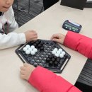 브레인 스포츠 체스 | 2024 코리아 마인드 스포츠 챔피언십, 아발론 아리조나 보드게임. 2월 과천