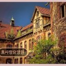 (주)효사랑요양원