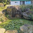 신도연못 옆 이미지