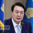 미디어토마토