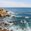 바다회직판장 이미지