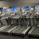 오브 휘트니스 이미지