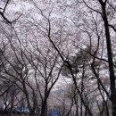 천주산 입구 이미지