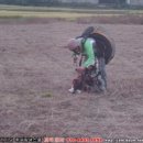 거창읍-29 이미지