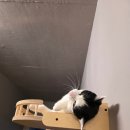 오월이네 | 오월이😽난 너가 너무좋아