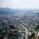 계룡종합관리