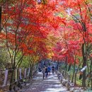 입곡군립공원(출렁다리) 이미지