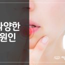 태선위생 이미지